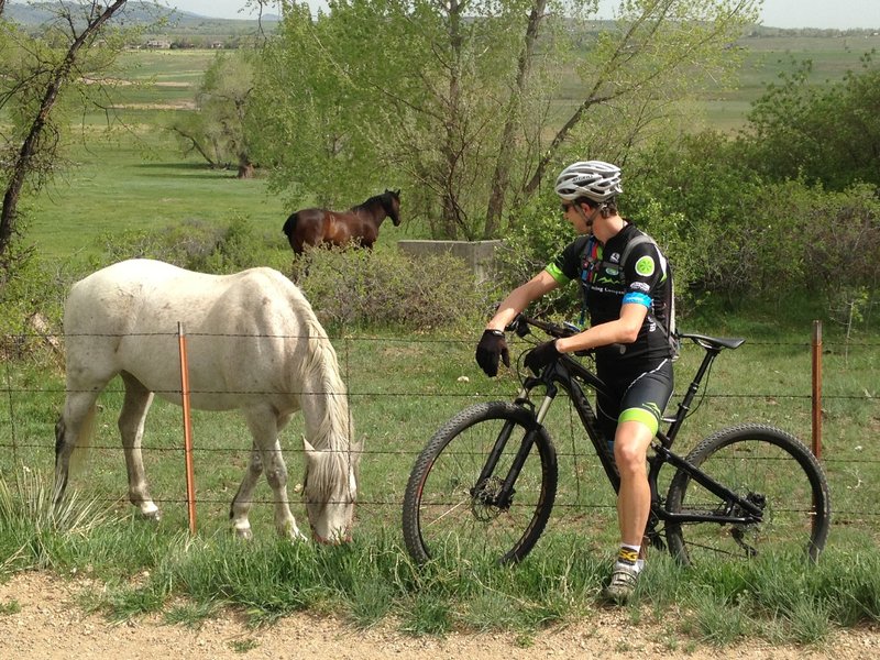 Nice rural feel, but just outside of Boulder