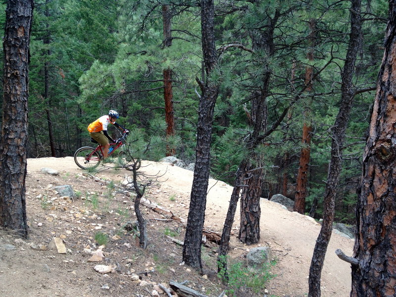 One of the many superbly-made switchbacks on the Benjamin Loop