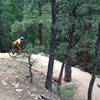 One of the many superbly-made switchbacks on the Benjamin Loop