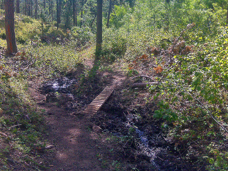 South Fork bridge-View Downhill