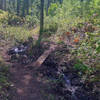 South Fork bridge-View Downhill