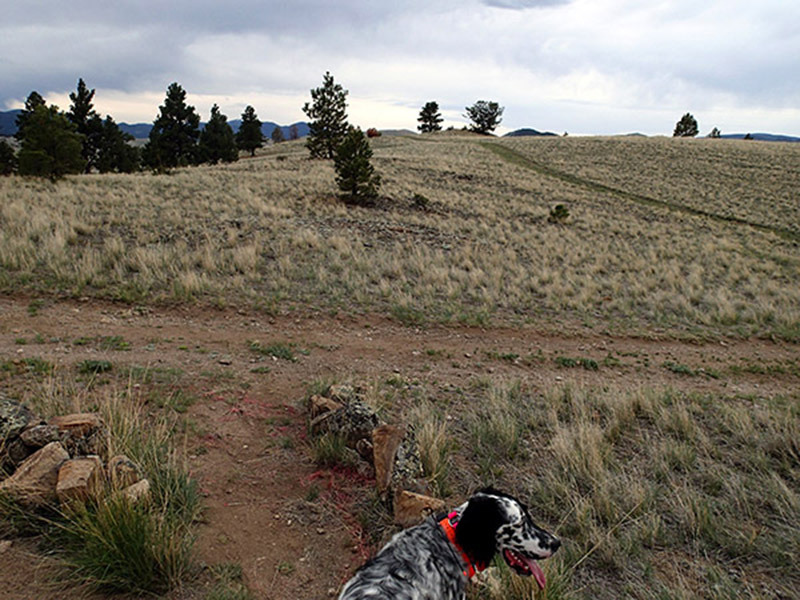 The piles of rocks on the edges of the trail are a sign to tell you to turn right here.