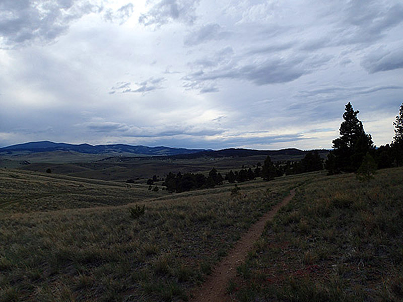 View looking back at the trail approaching the right turn