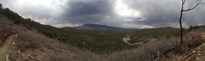 View of the Sandias and Cedro peak as you leave the burn scar on top.
