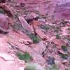 You can see one of the steep rock armored climbs. Photos can be deceiving. After another steep switchback the trail hooks around the rocky hill in the foreground and pops out on narrow bench cut sandstone dirt which can barely be seen in the background.