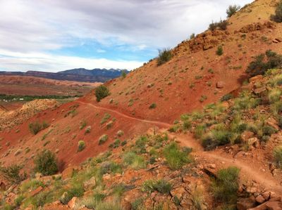 Another shot of bench-cut singletrack and the La Sals.