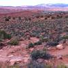 There are lots of rocky switchbacks on Pipe Dream and they get much steeper.