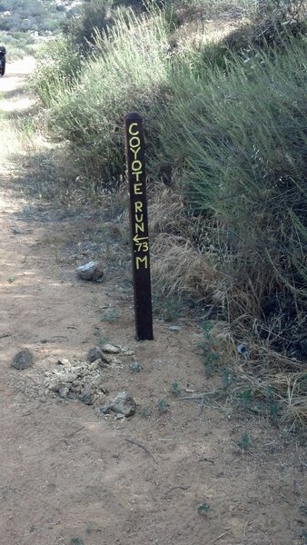 Fun little singletrack shortcut to break up the fire road monotony.