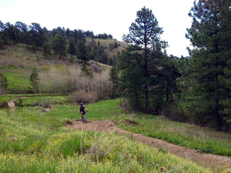 Nearing the top of Apex trail - just past the small Aspen grove and toll bridge