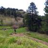 Nearing the top of Apex trail - just past the small Aspen grove and toll bridge