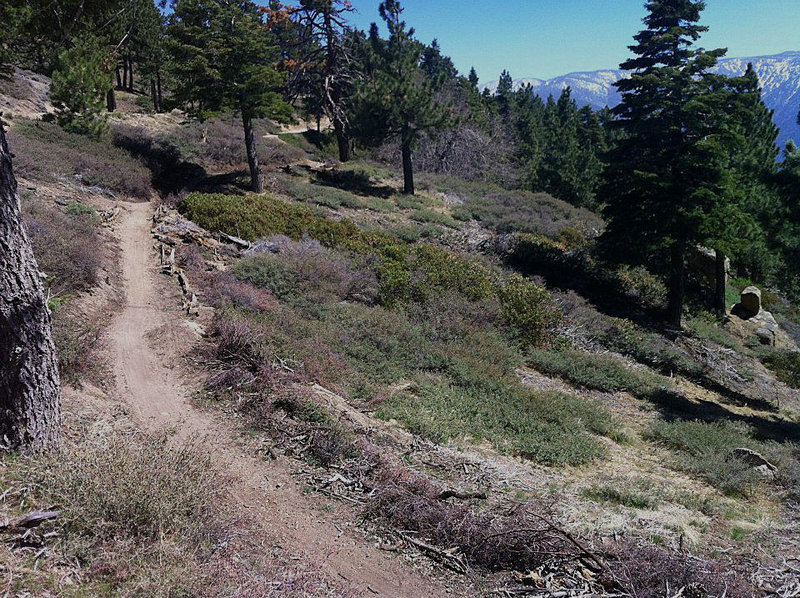 Mountain views and new singletrack on the Skyline Trail.