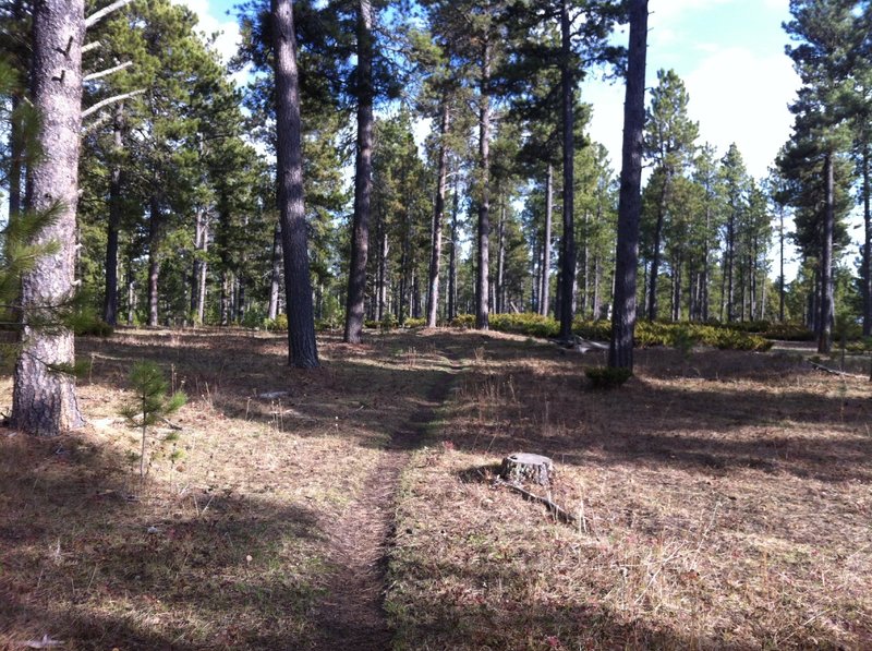 View south of Edge from trail junction