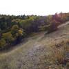 View South, into the Aspens