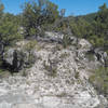 Limestone rib on the way to Walnut Rim's second lookout.