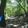 Making the turn to head down a rocky section.  Even more challenging climbing out.