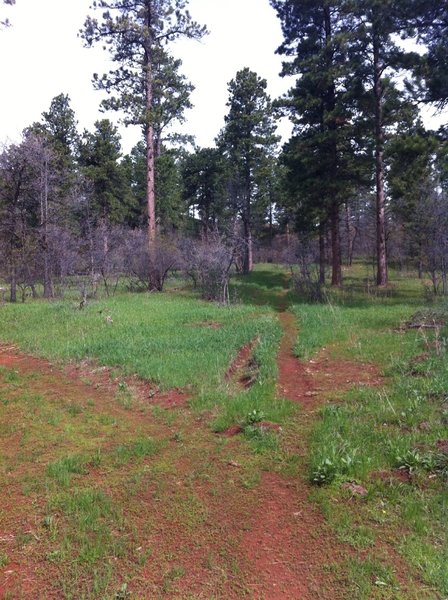 View of Houston creek trail, looking north