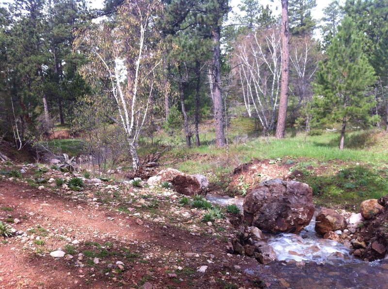 Houston creek drainage