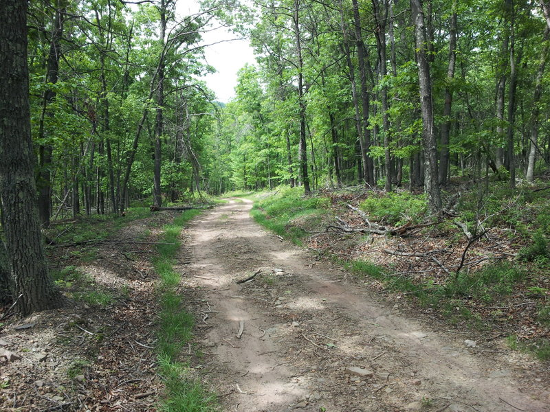 Starts with some mostly level dirt road