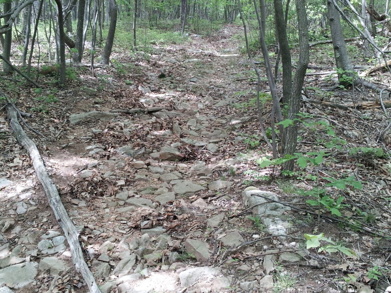 Some pretty gnarly, rocky climbing