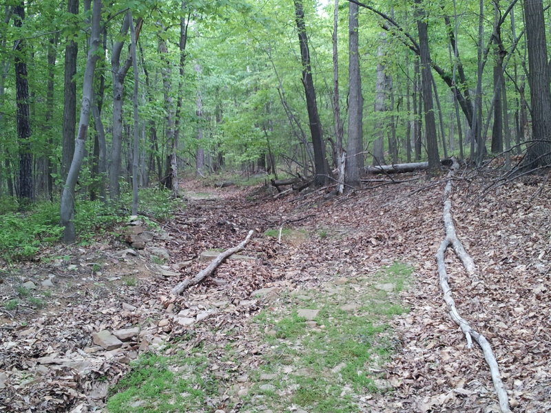 Trail is wide like this for most of the ascent; rocky