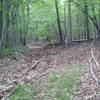 Trail is wide like this for most of the ascent; rocky