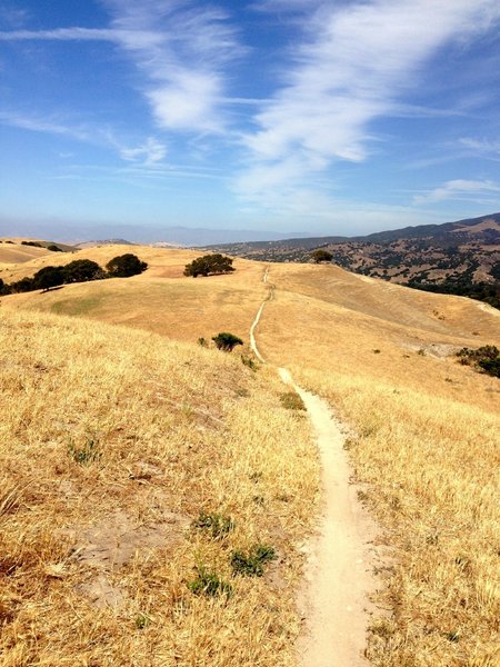 sweet singletrack on the way to couch canyon