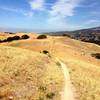 sweet singletrack on the way to couch canyon