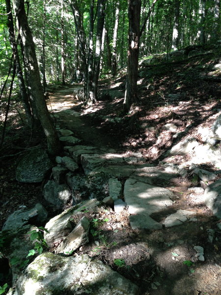 Intricate rock work on the Gummy Line Trail from the downhill side.