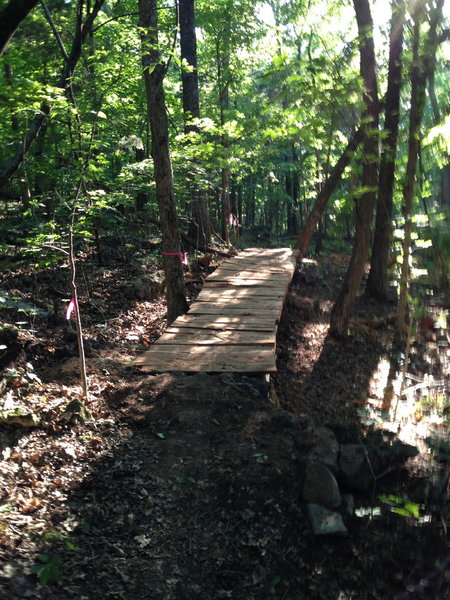 Split-cedar log bridge on the Gummy Line Trail.  There are several of these on this trail.