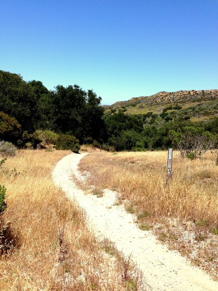 just off lookout, heading down 50.. some say it's it's favorite trail out here.