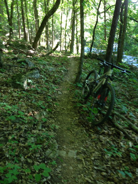 Typical surface on the Gummy Line Trail with a Niner Jet 9 in the foreground and Bankhead Parkway in the background.