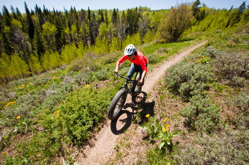 Flowy descents abound on Squaw Creek