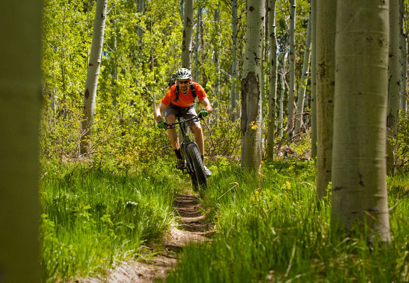 Cruising through aspens on Tusky Ridge