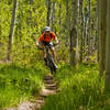 Cruising through aspens on Tusky Ridge