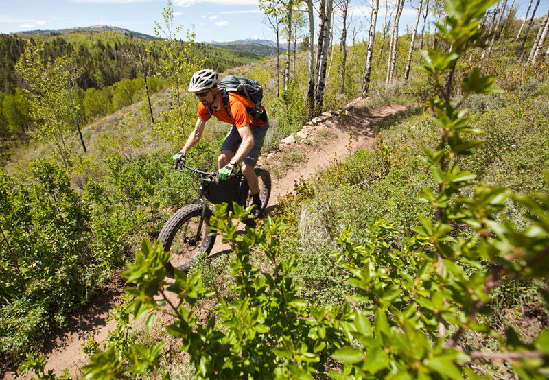 Breaking out of the aspens and shooting across the high meadow on Cosmic Carol's