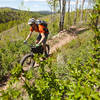 Breaking out of the aspens and shooting across the high meadow on Cosmic Carol's