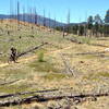 Entering the Buffalo Creek fire area of 1996