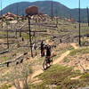 17 years after the fire, and nothing but scrub grass in what was once a dense forest.