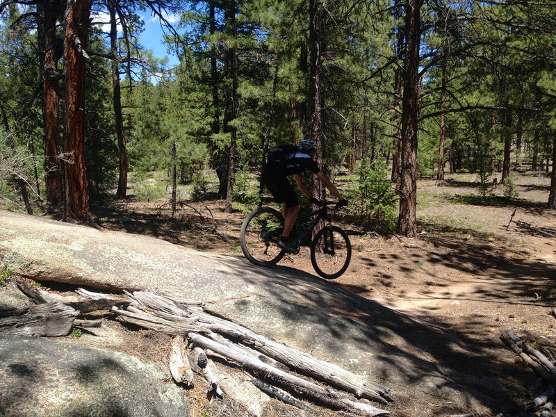 Charlies Cutoff - the best trail in Buffalo Creek is unfortunately one of the shortest!