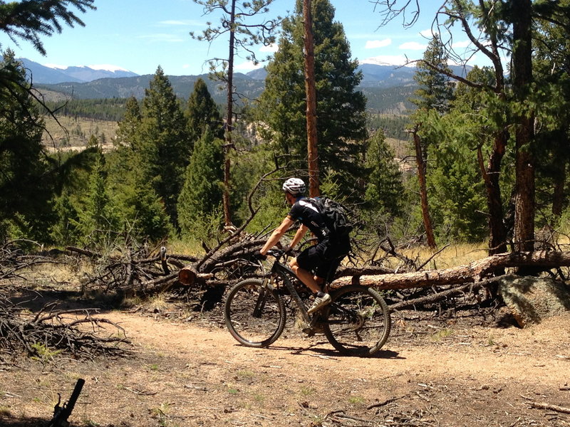 Homestead Trail, taking us home