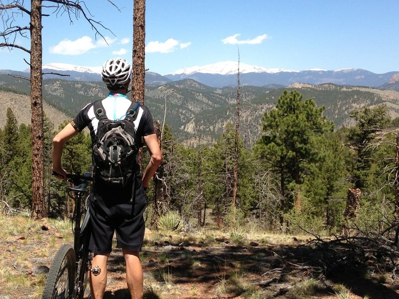 Taking in the view towards the top of Buck's Gulch.