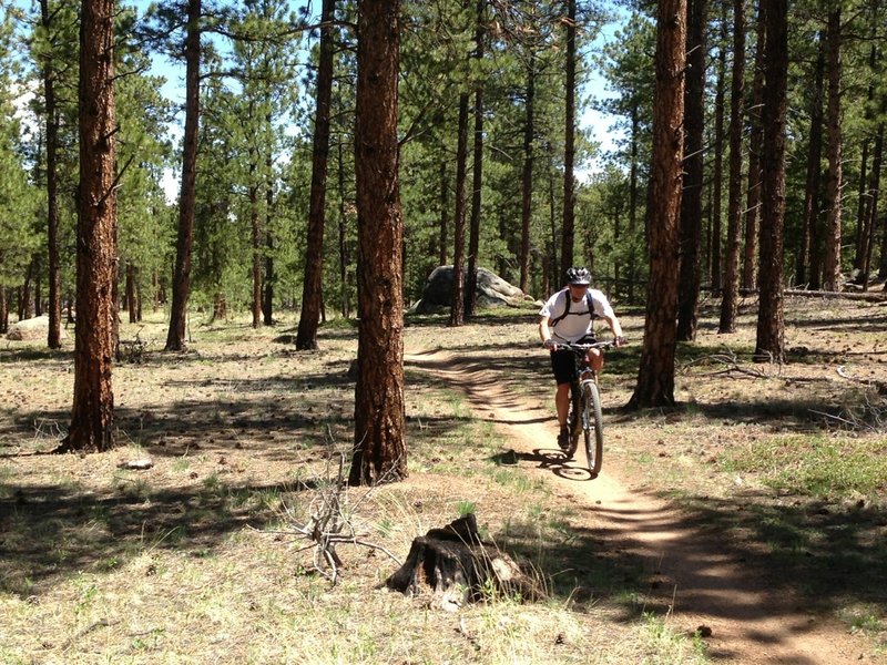 Gashouse starts out mellow and flat through the forest.