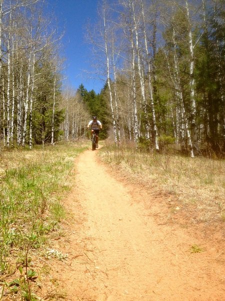 Blasting through the Aspens.  The Gashouse descent is excellent.