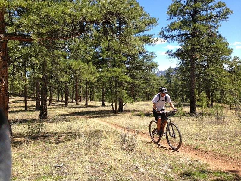 Let 'er rip on the bottom section of Charlie's Cutoff.  It's smooth and hard-packed.