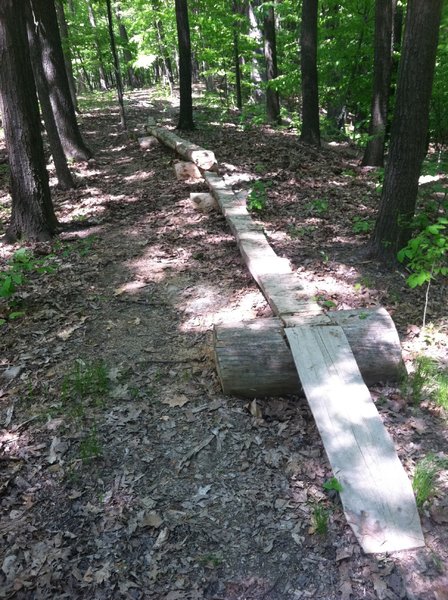 A 30ft log ride with a step up gap in the middle.