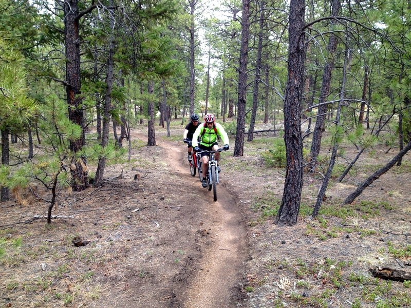 Back into unburned forest for a bit before popping out at the Colorado Trail.
