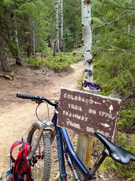 At the bottom of a fantastic descent, decide whether to continue along the Colorado Trail to extend your ride, or cut up Tramway.