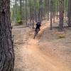 This section of the Colorado Trail is fun as it works its way towards Redskin Creek trail.