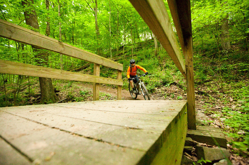 Crossing the bottom of a lush draining on Dark Hollow