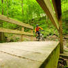 Crossing the bottom of a lush draining on Dark Hollow